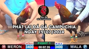 phát lại đá gà campuchia 15/07/2024
